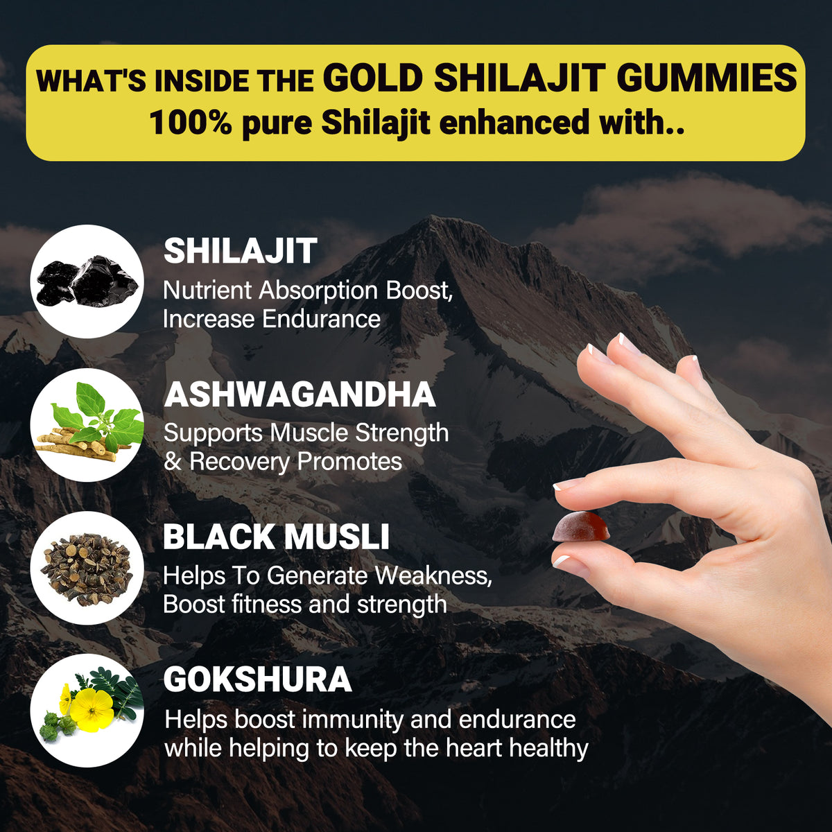 Bcuelov Himalayan Shilajit Gummies, with Ashwagandha, Black Musli and Gokshura, 60 Gummies